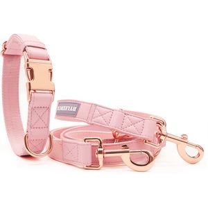 Medium dog collar and leash